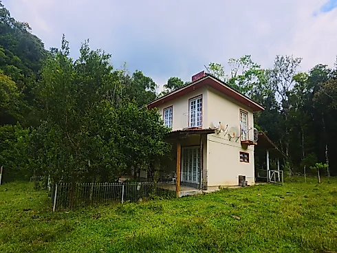 Thumbnail 26