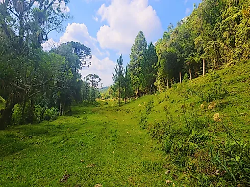 Sítio em Área Rural, Águas Mornas