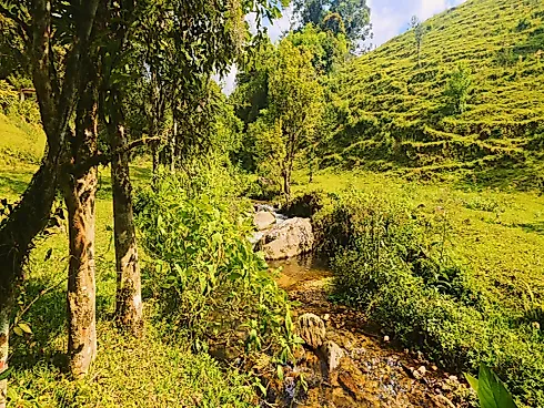 Sítio em Área Rural, Águas Mornas