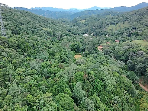 Sítio em Área Rural de São José, São José