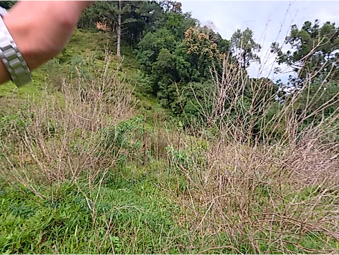 Thumbnail 19