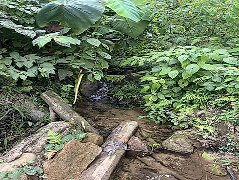 Terreno em Aguas Mornas