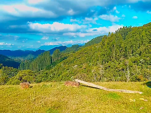 Terreno em Aguas Mornas