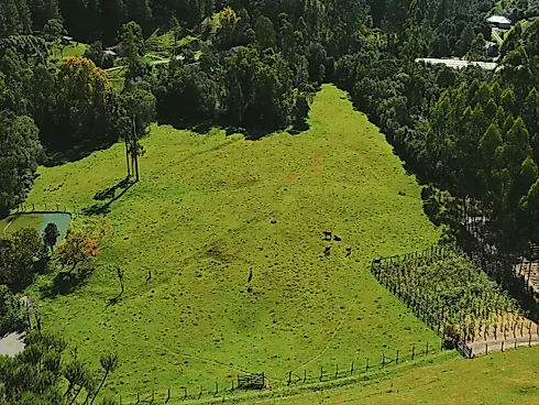 Sítio, Rancho Queimado