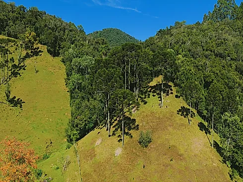Sítio, Rancho Queimado