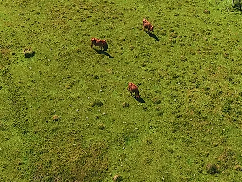 Sítio, Rancho Queimado