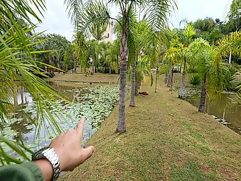 Thumbnail 14
