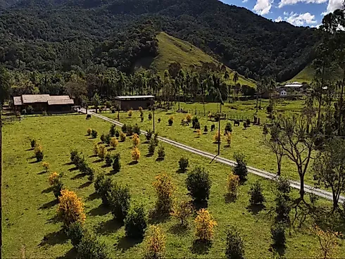 Sítio em Centro, Santo Amaro da Imperatriz