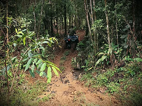 Sítio em Centro, Santo Amaro da Imperatriz