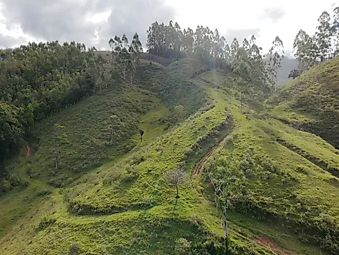 Sítio em Fazenda, BiguaÇu
