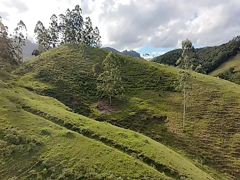 Sítio em Fazenda, BiguaÇu