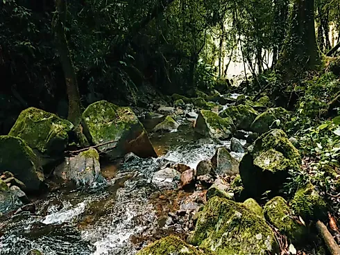 Sítio em Rio Novo, Aguas Mornas