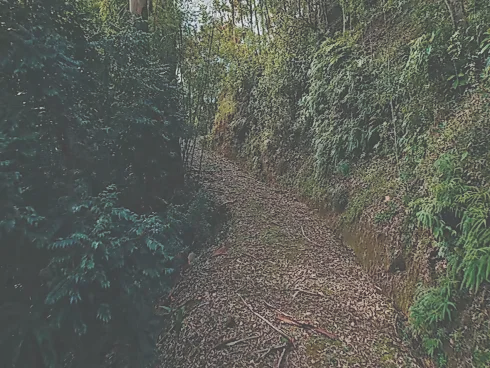 Sítio em Rio Novo, Aguas Mornas