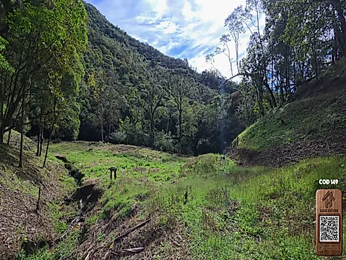 Thumbnail 29
