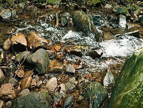 Sítio em Rio Novo, Aguas Mornas