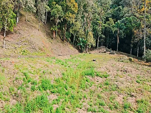 Sítio em Rio Novo, Aguas Mornas