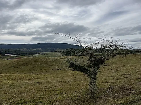 Terreno em Rio do Coxo, Rancho Queimado