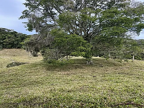 Terreno em Rio do Coxo, Rancho Queimado