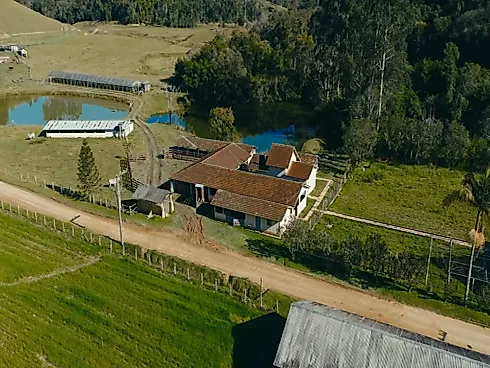 Fazenda de 160 Hectares com Estrutura Completa em Angelina - Fazenda, Angelina - Foto 3