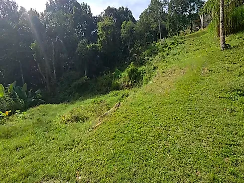 Sítio na Ilha da Magia, Florianópolis -SC | Casa Toda em Pedra! - Foto 14