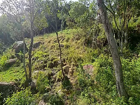 Sítio na Ilha da Magia, Florianópolis -SC | Casa Toda em Pedra! - Foto 17