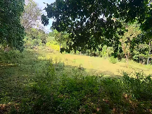 Sítio na Ilha da Magia, Florianópolis -SC | Casa Toda em Pedra! - Foto 19