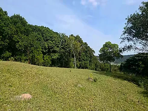 Sítio na Ilha da Magia, Florianópolis -SC | Casa Toda em Pedra! - Foto 20