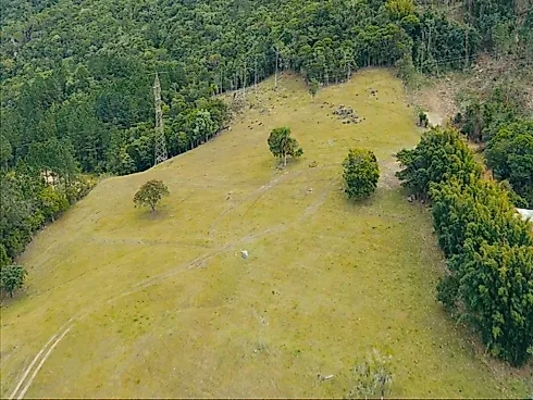 Excelente Área Rural de 15,7 Hectares em Santa Rita, Paulo Lopes – Asfalto Até o Terreno, a 500m do Centro e 2km da Br-101 - Foto 10