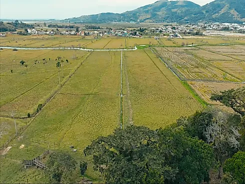 Excelente Área Rural de 15,7 Hectares em Santa Rita, Paulo Lopes – Asfalto Até o Terreno, a 500m do Centro e 2km da Br-101 - Foto 13