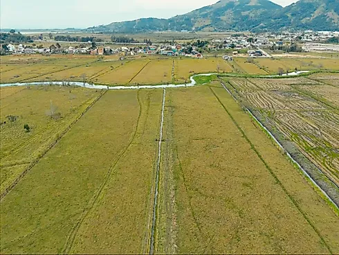 Excelente Área Rural de 15,7 Hectares em Santa Rita, Paulo Lopes – Asfalto Até o Terreno, a 500m do Centro e 2km da Br-101 - Foto 14