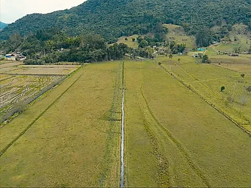 Excelente Área Rural de 15,7 Hectares em Santa Rita, Paulo Lopes – Asfalto Até o Terreno, a 500m do Centro e 2km da Br-101 - Foto 15