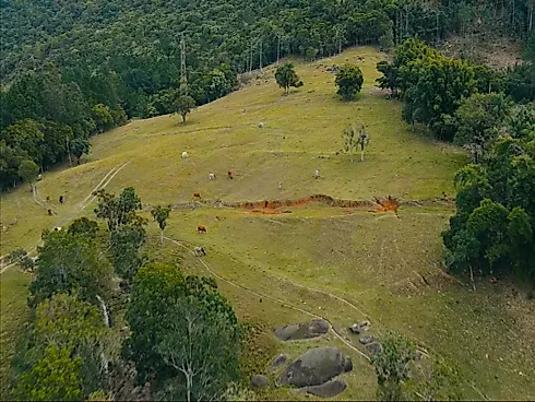 Excelente Área Rural de 15,7 Hectares em Santa Rita, Paulo Lopes – Asfalto Até o Terreno, a 500m do Centro e 2km da Br-101 - Foto 18
