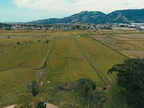 Excelente Área Rural de 15,7 Hectares em Santa Rita, Paulo Lopes – Asfalto Até o Terreno, a 500m do Centro e 2km da Br-101 - Foto 22