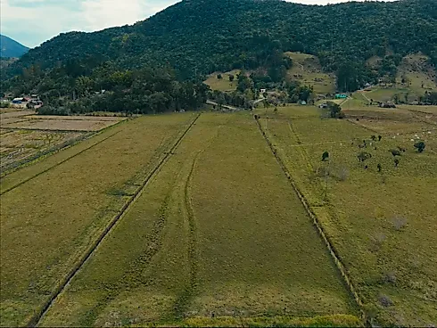 Excelente Área Rural de 15,7 Hectares em Santa Rita, Paulo Lopes – Asfalto Até o Terreno, a 500m do Centro e 2km da Br-101 - Sítio, Paulo Lopes - Foto 4