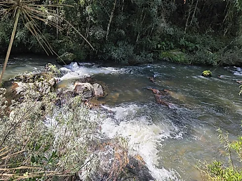 Propriedade Exclusiva de 4 Hectares em Rancho Queimado (SC) | Riacho, Cachoeira Privativa e Alto Potencial Turístico - Foto 10