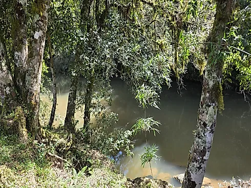 Propriedade Exclusiva de 4 Hectares em Rancho Queimado (SC) | Riacho, Cachoeira Privativa e Alto Potencial Turístico - Foto 11