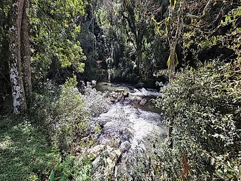 Propriedade Exclusiva de 4 Hectares em Rancho Queimado (SC) | Riacho, Cachoeira Privativa e Alto Potencial Turístico - Foto 12