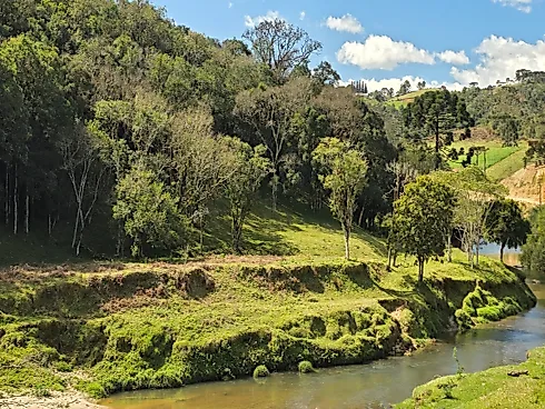 Propriedade Exclusiva de 4 Hectares em Rancho Queimado (SC) | Riacho, Cachoeira Privativa e Alto Potencial Turístico - Foto 5