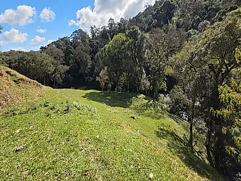 Propriedade Exclusiva de 4 Hectares em Rancho Queimado (SC) | Riacho, Cachoeira Privativa e Alto Potencial Turístico - Foto 8