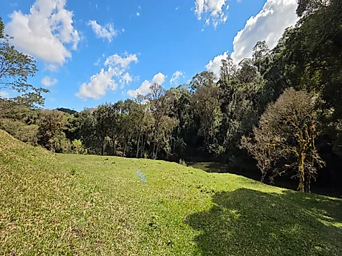 Propriedade Exclusiva de 4 Hectares em Rancho Queimado (SC) | Riacho, Cachoeira Privativa e Alto Potencial Turístico - Foto 9