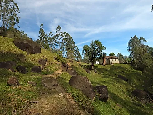 Área Rural de 7,8 Hectares com Pastagem, Reflorestamento e Recursos Hídricos – São Bonifácio/SC - Foto 3