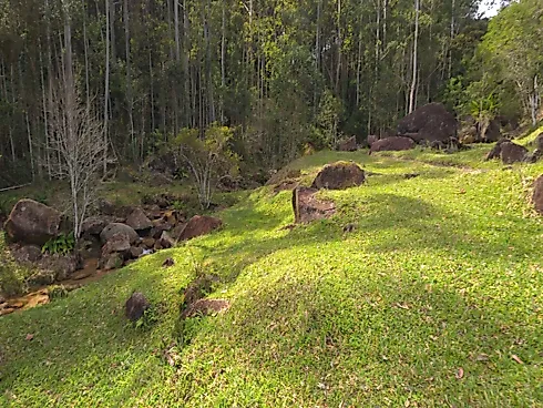 Área Rural de 7,8 Hectares com Pastagem, Reflorestamento e Recursos Hídricos – São Bonifácio/SC - Foto 14