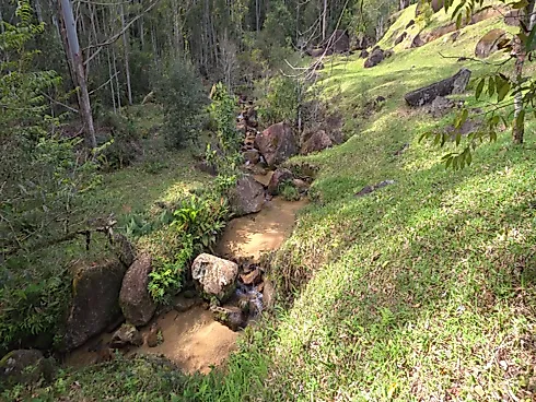 Área Rural de 7,8 Hectares com Pastagem, Reflorestamento e Recursos Hídricos – São Bonifácio/SC - Foto 16