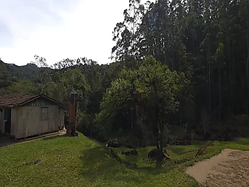 Área Rural de 7,8 Hectares com Pastagem, Reflorestamento e Recursos Hídricos – São Bonifácio/SC - Foto 18