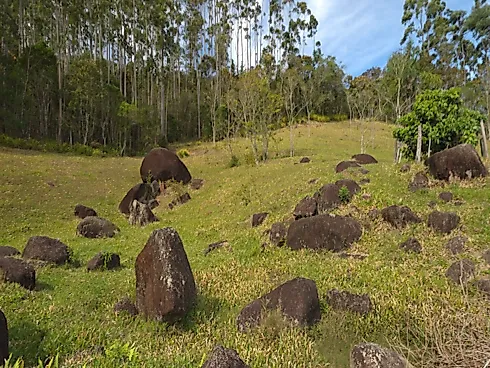 Área Rural de 7,8 Hectares com Pastagem, Reflorestamento e Recursos Hídricos – São Bonifácio/SC - Foto 19