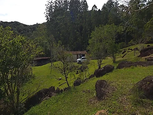 Área Rural de 7,8 Hectares com Pastagem, Reflorestamento e Recursos Hídricos – São Bonifácio/SC - Foto 22