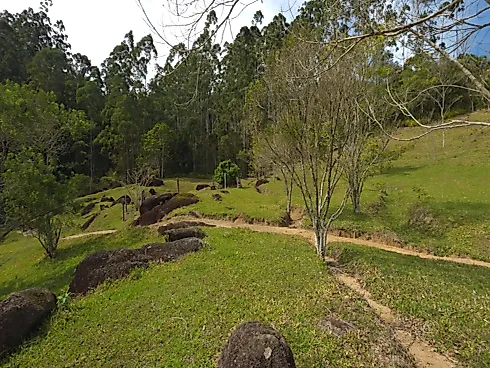 Área Rural de 7,8 Hectares com Pastagem, Reflorestamento e Recursos Hídricos – São Bonifácio/SC - Foto 23