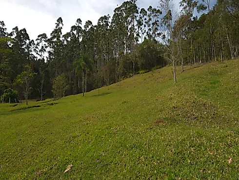 Área Rural de 7,8 Hectares com Pastagem, Reflorestamento e Recursos Hídricos – São Bonifácio/SC - Foto 25