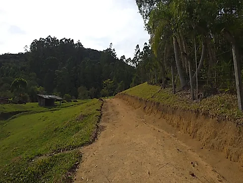 Área Rural de 7,8 Hectares com Pastagem, Reflorestamento e Recursos Hídricos – São Bonifácio/SC - Foto 26