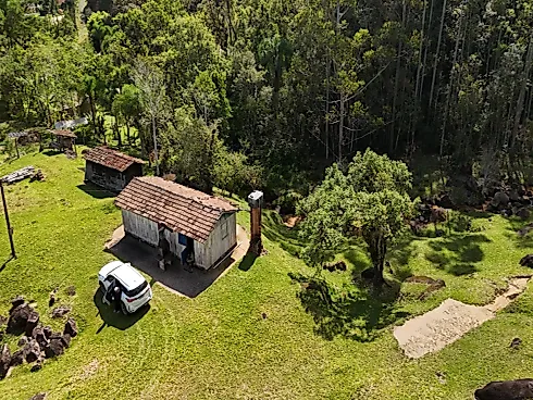 Área Rural de 7,8 Hectares com Pastagem, Reflorestamento e Recursos Hídricos – São Bonifácio/SC - Foto 28